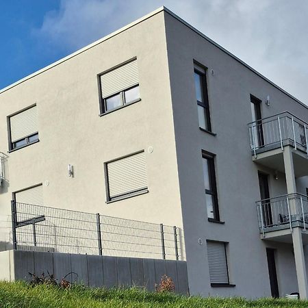 Apartments Seibel Doppel-Zweibettzimmer Mit Bad Reutlingen Kültér fotó